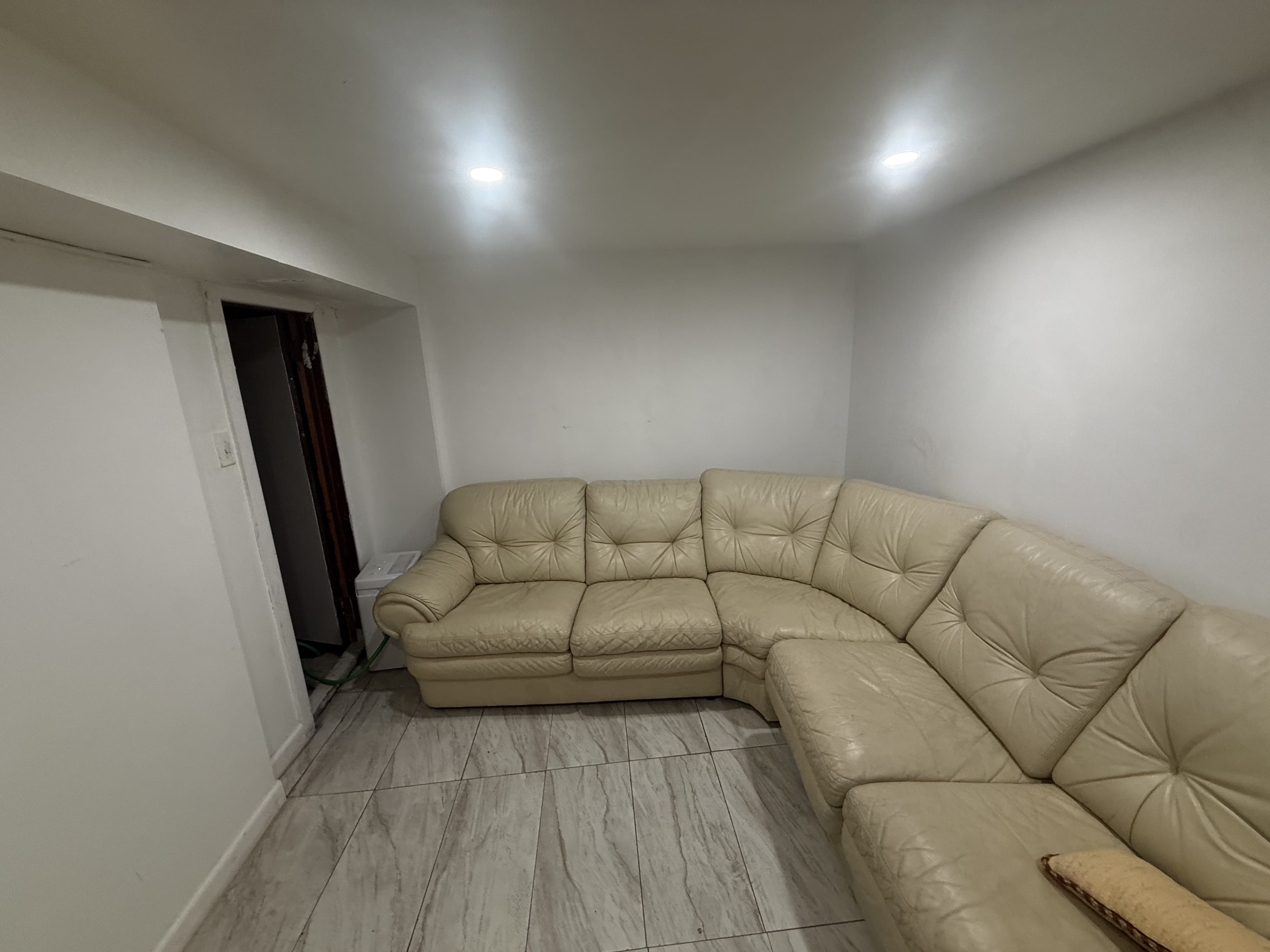 Basement Remodel