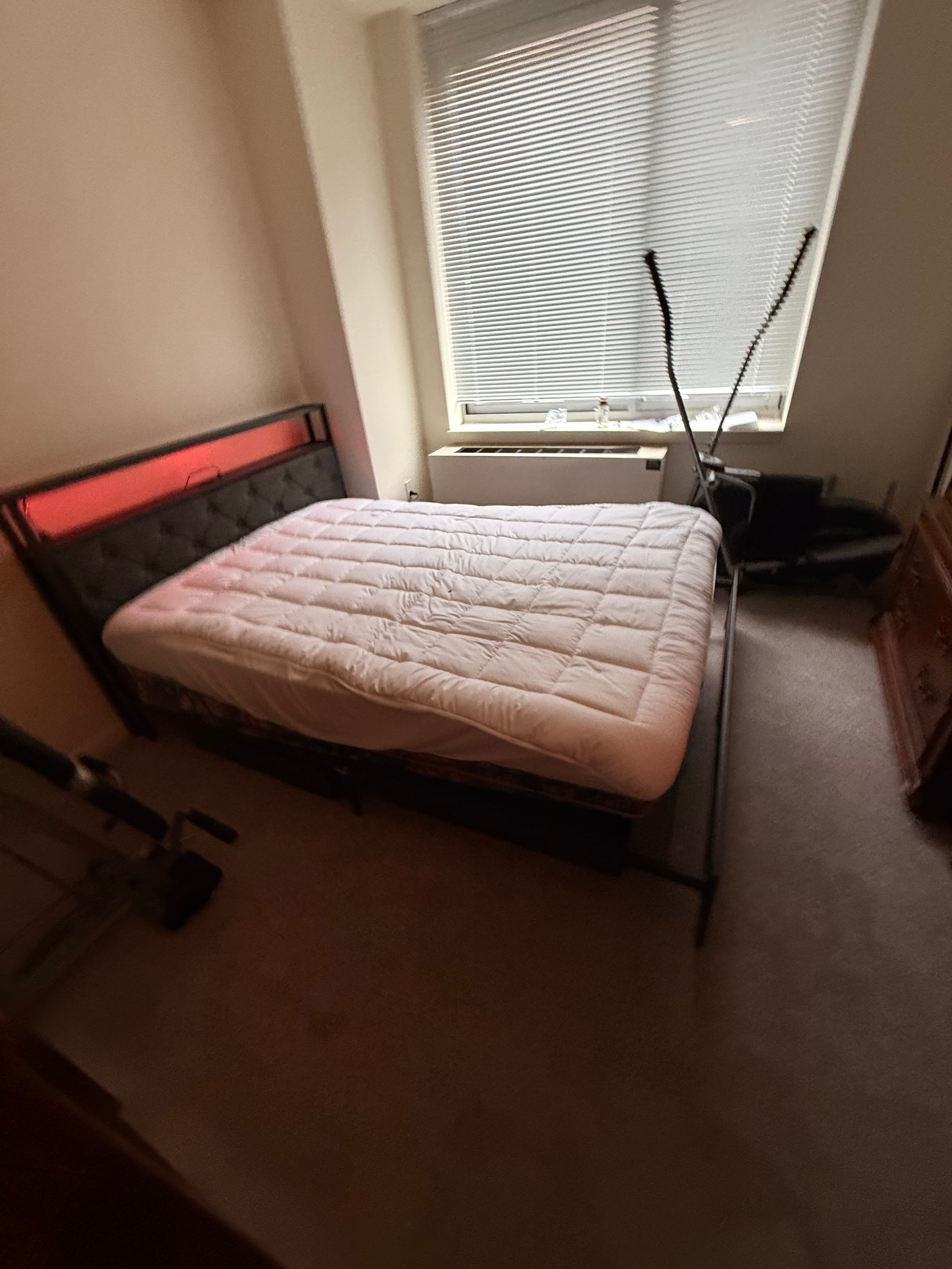 Assemble queen size bed and mount 65" TV