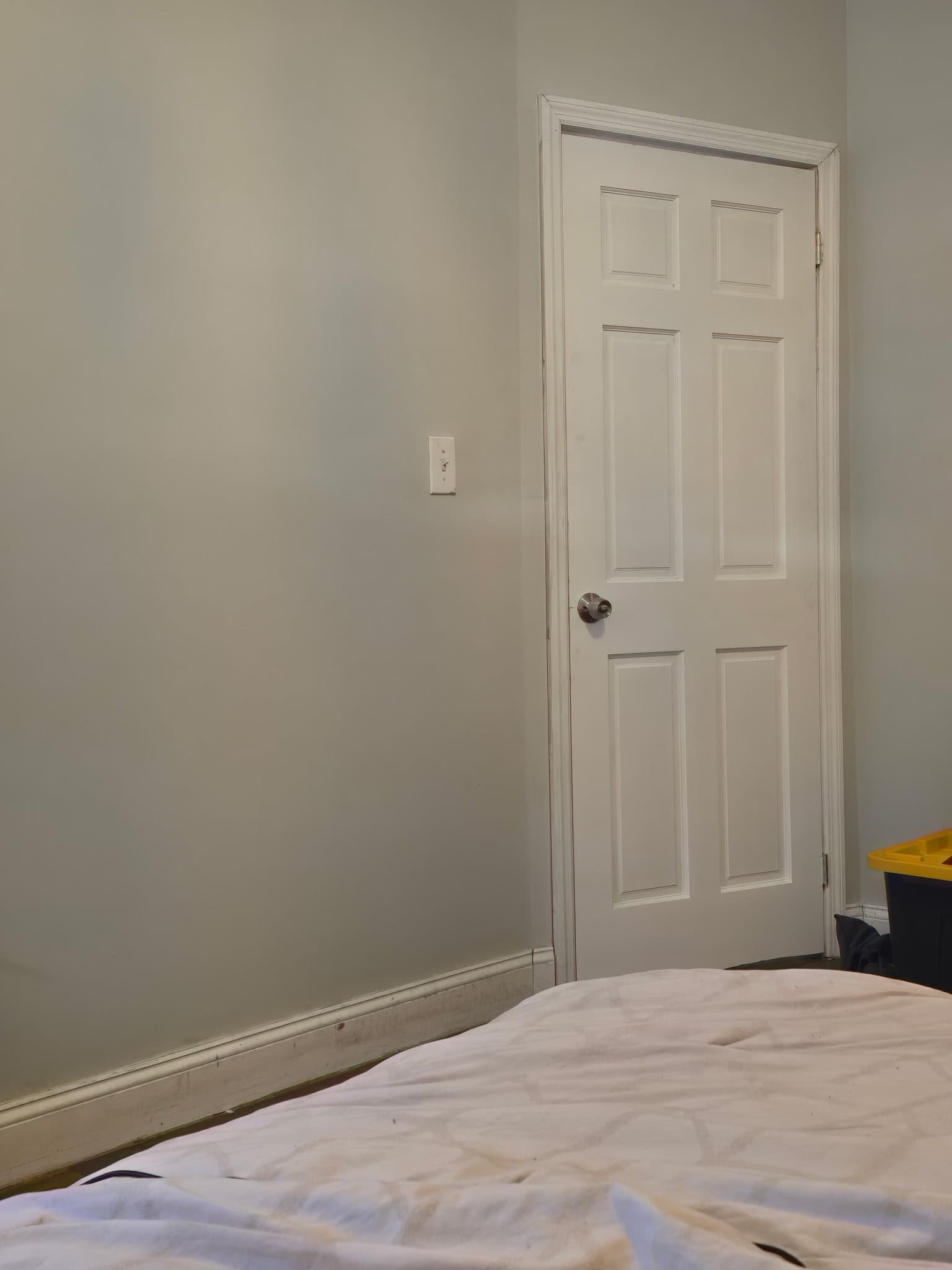 Door Repair + Window treatments and door trim